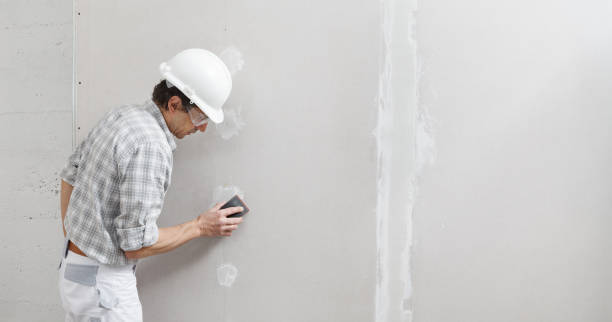 Best Wallpaper Removal and Painting  in Clarcona, FL