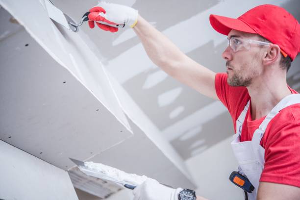 Professional Dry wall and painting in Clarcona, FL